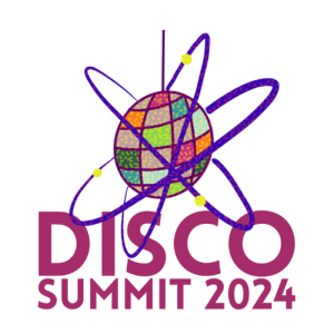 A colorful disco ball with the words: "DISCO SUMMIT 2024"