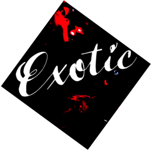 image with script text "Exotic"
