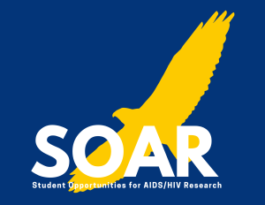 SOAR logo