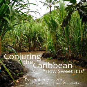 photo of sugar cane along path