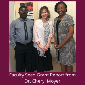 Dr. Cheryl Moyer (center) met with colleagues Dr. Samuel Oppong (left) and Dr. Cristabel Enweronu-Laryea (right), Heads of Obstetrics and Gynecology (Oppong) and Pediatrics (Enweronu-Laryea) at Korle Bu Teaching Hospital in Accra.