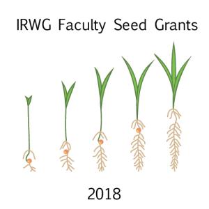 illustration of a seedling in various stages of growth. text reads "IRWG faculty seed grants, 2018"