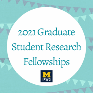 image with drawing of party banners, with a white circle in the center. Inside the circle, text reads 2021 Graduate Student Research Fellowships: IRWG